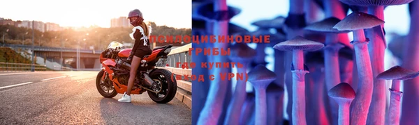 соль ск Осташков